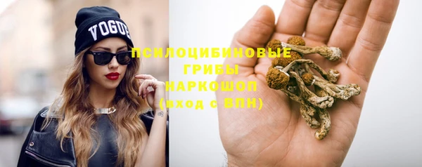 PSILOCYBIN Баксан