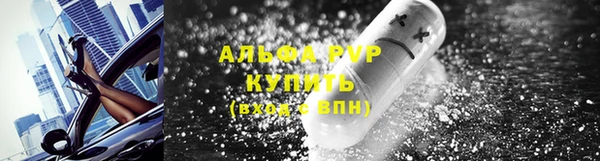 PSILOCYBIN Баксан