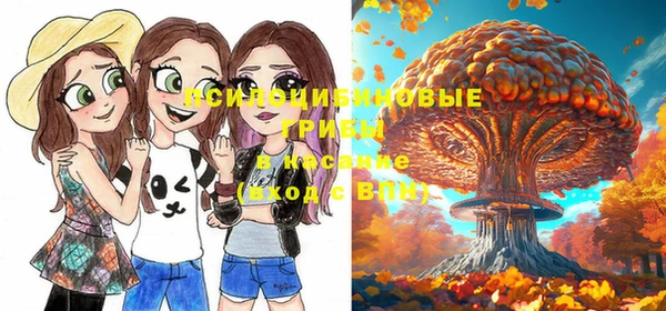 PSILOCYBIN Баксан