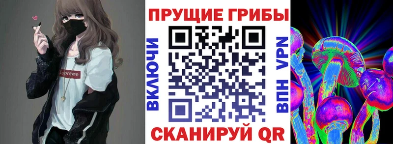 Галлюциногенные грибы GOLDEN TEACHER Сосногорск