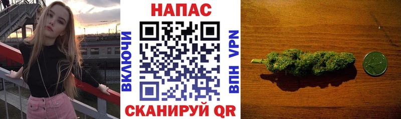 хочу   Сосногорск  Шишки марихуана White Widow 